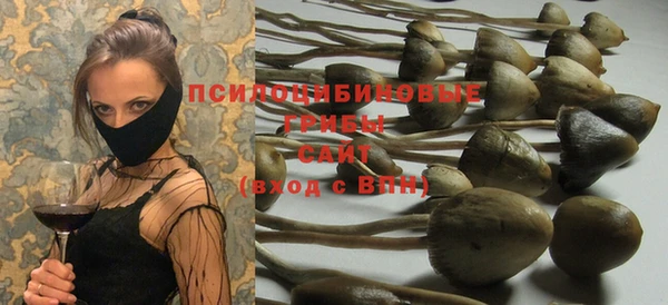 экстази Медвежьегорск
